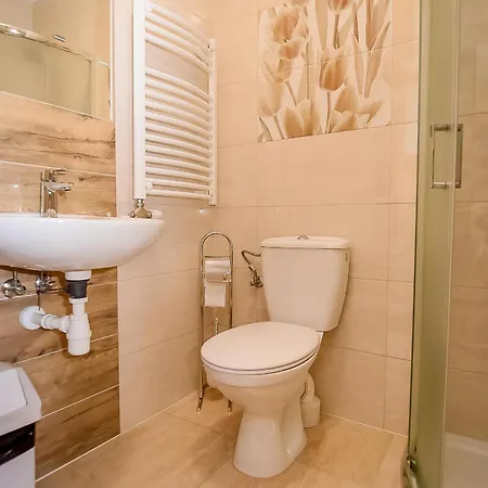 U Pawlikowskich Проживание в семье Поронин