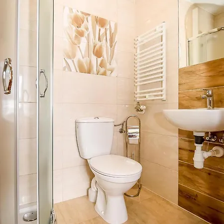 U Pawlikowskich Проживание в семье Поронин