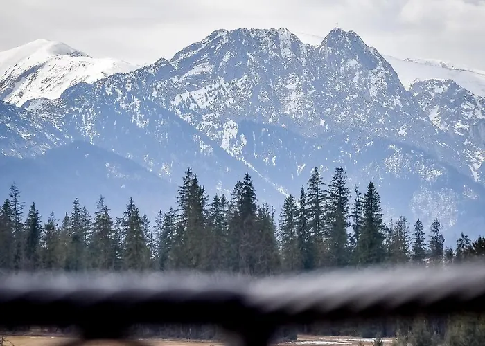 U Pawlikowskich 民宿 *