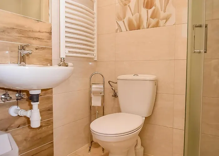 U Pawlikowskich 民宿 波罗宁