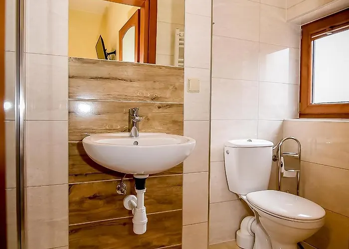 U Pawlikowskich 民宿 波罗宁